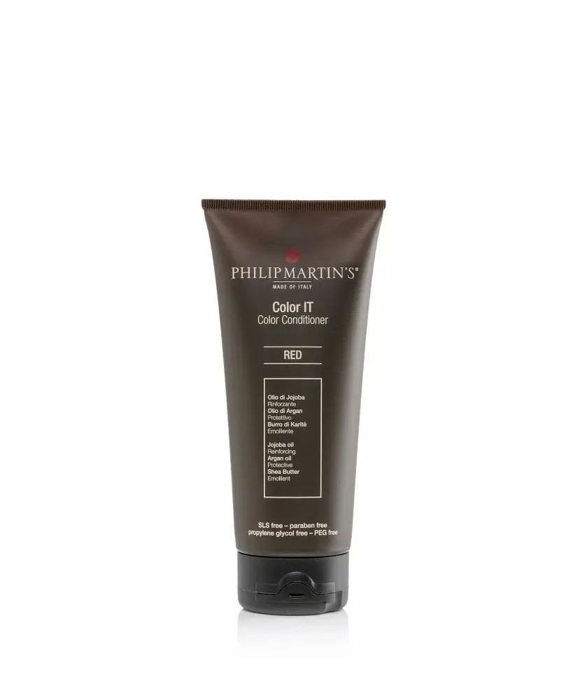 Philip Martin’s Color It Silver 200ml